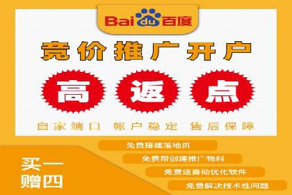 信息流广告投放策略优化：实战案例与数据支撑